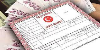 Tapu sahipleri 45 gün içinde başvurmazsa kaybecek! Bakanlık harekete geçiyor 10